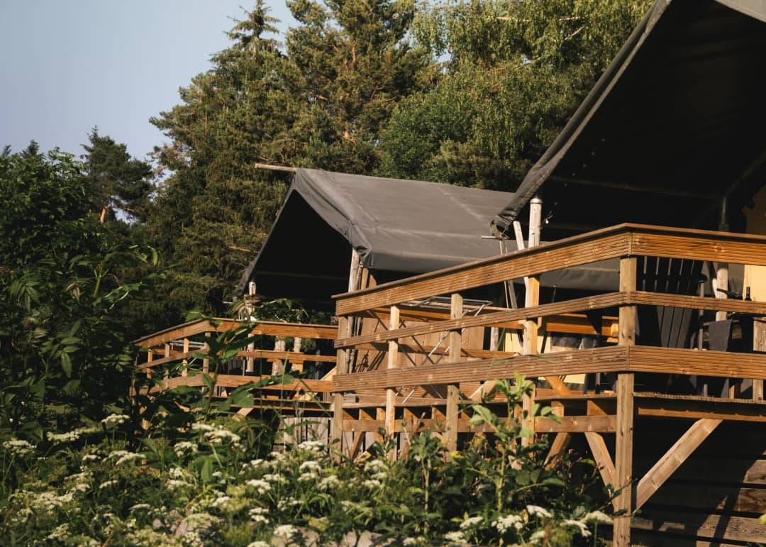Base Lodge su palafitte tra i fiori selvatici
