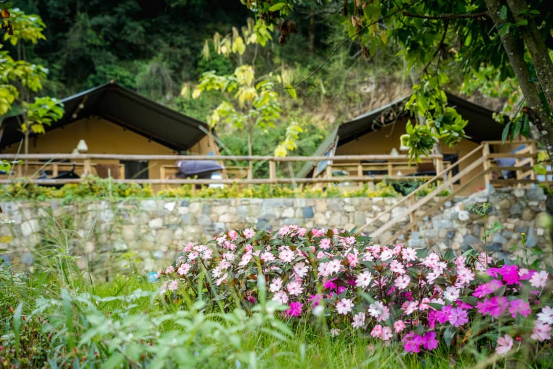 Camping Delle Rose Desert Lodges